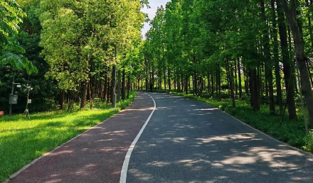 自行車綠道施工需要注意些什么？